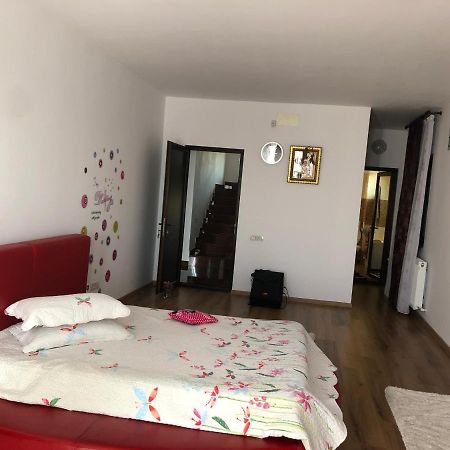 Ferienwohnung Adelina Schitu Exterior foto
