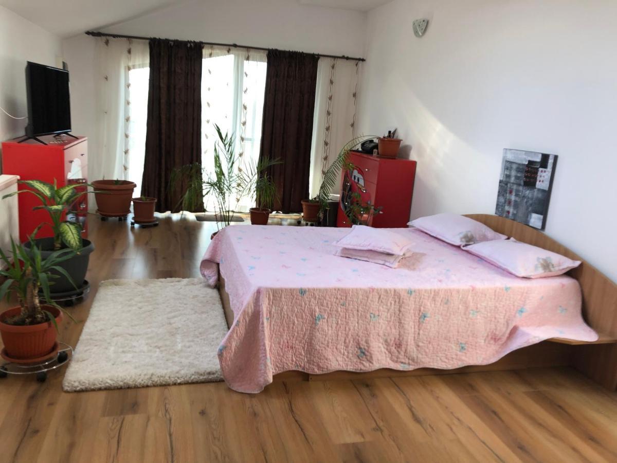 Ferienwohnung Adelina Schitu Exterior foto